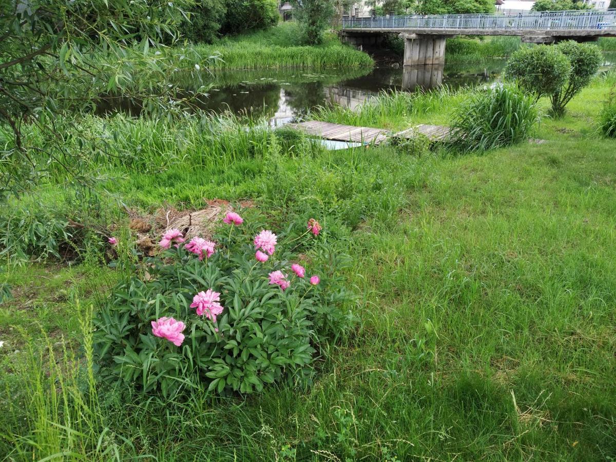 فيلا River Side Studio, 9Mi From Palanga, With Sauna كريتينغا المظهر الخارجي الصورة